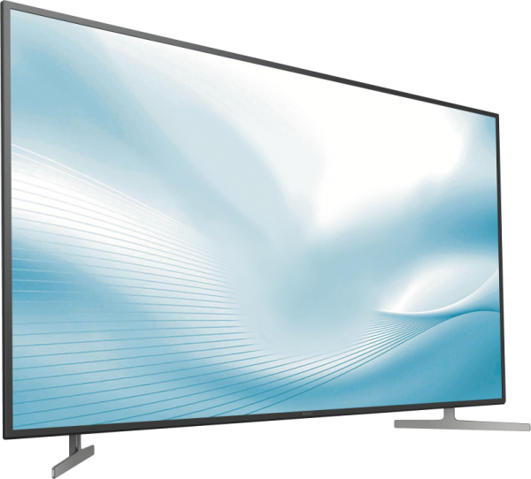 Sony KD49XH8196BAEP